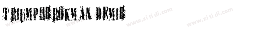 TriumphBrokman DemiB字体转换